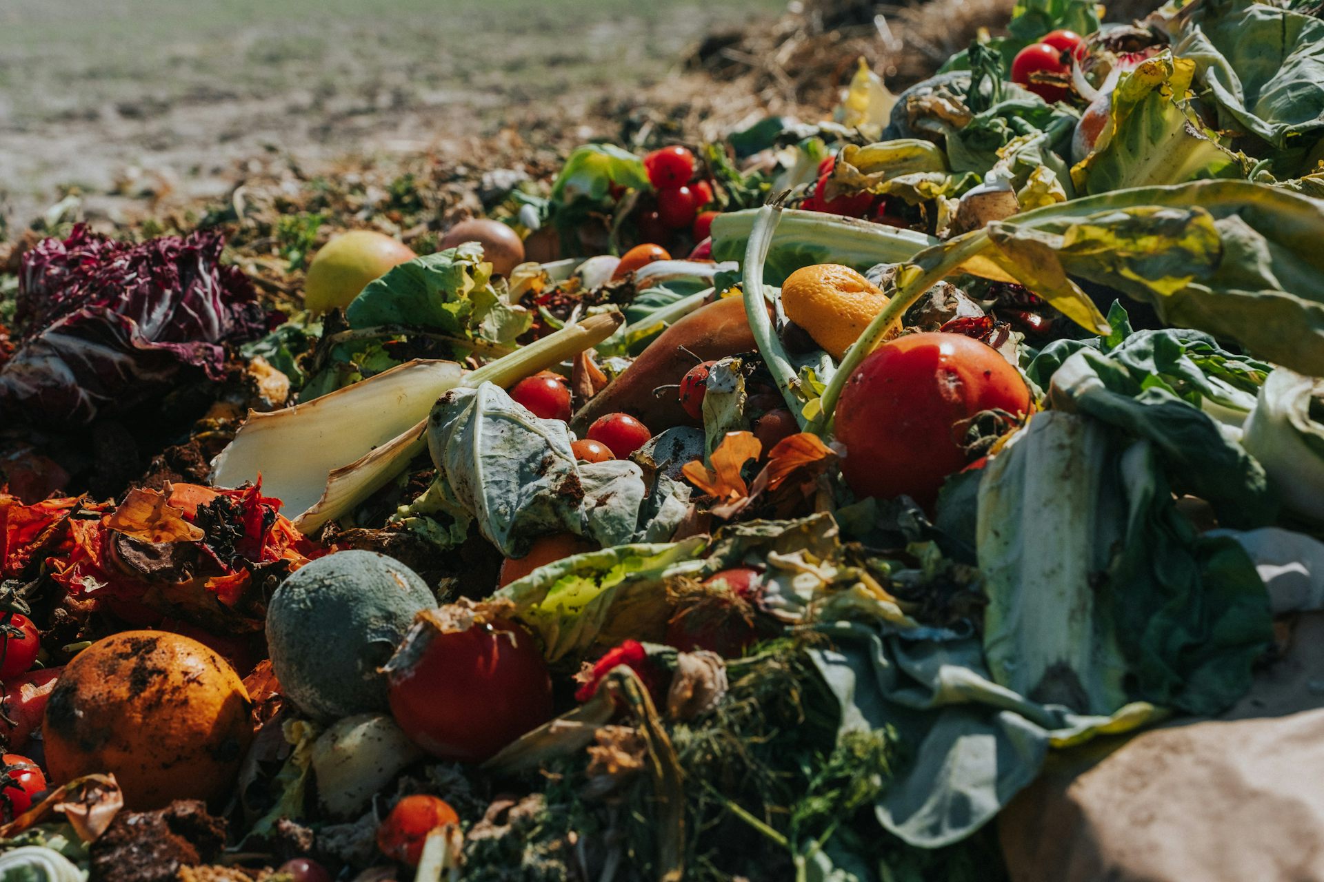 Куча органических пищевых отходов на овощной ферме.